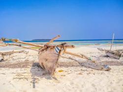 Zanzibar Scuba Diving Holiday Guide